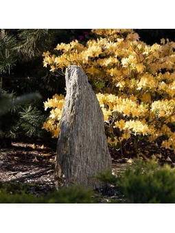 Monolit gnejsowy w ogrodzie