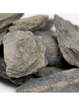 Detal kory z łupka szarogłazowego