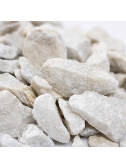 Grys Biały z bliska