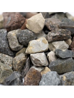 Grys multikolor z bliska