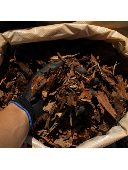 Drobna kora ogrodowa trzymana w dłoni