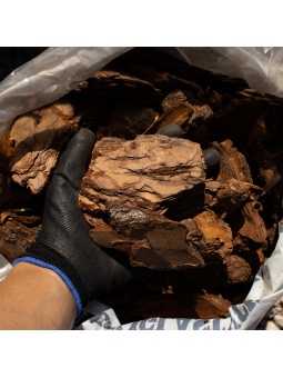 Duży rozmiar kory ogrodowej na dłoni