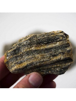 Kora gnejsowa z bliska