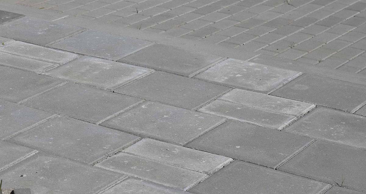 wykwity wapienne na kostce brukowej